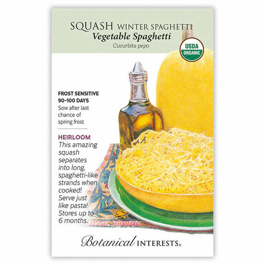 Squash Winter, "Spaghetti"