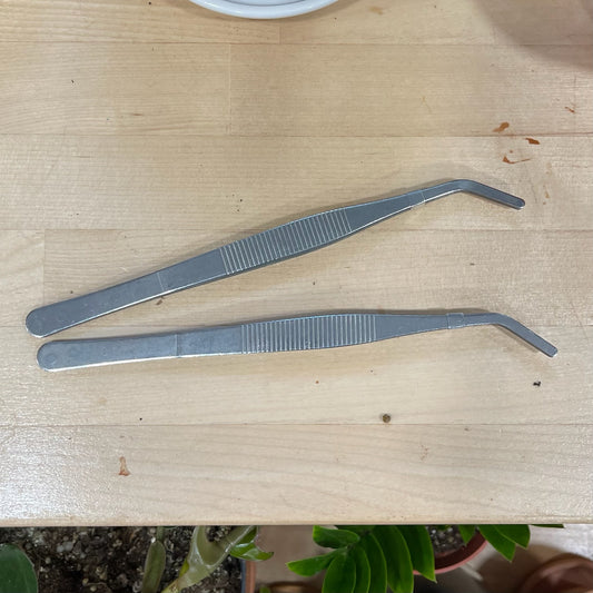 Stainless Steel Planting Tweezers