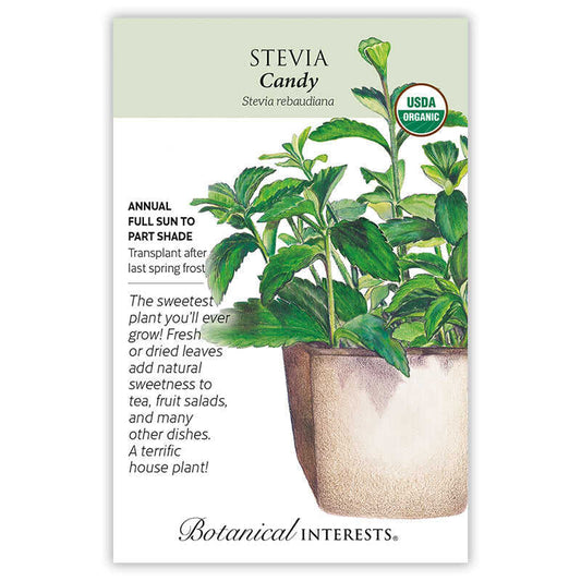 Stevia seeds 'Candy'