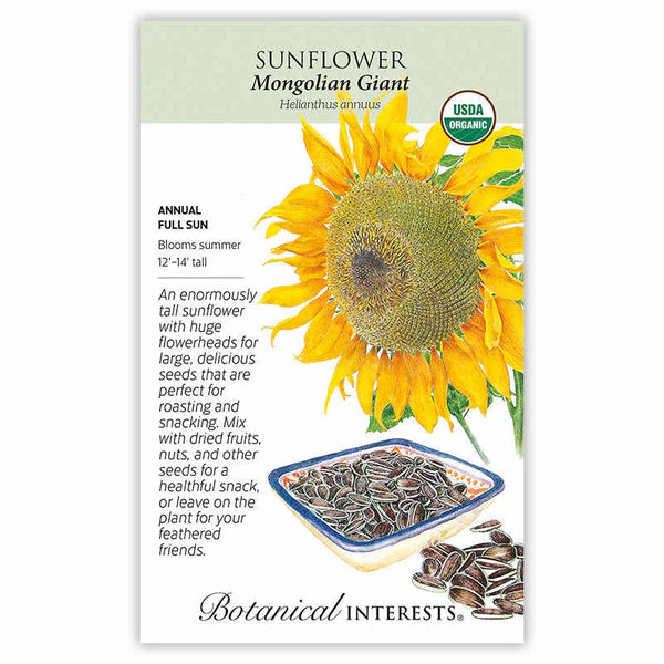 Sunflower seeds, "Mongolian Giant"