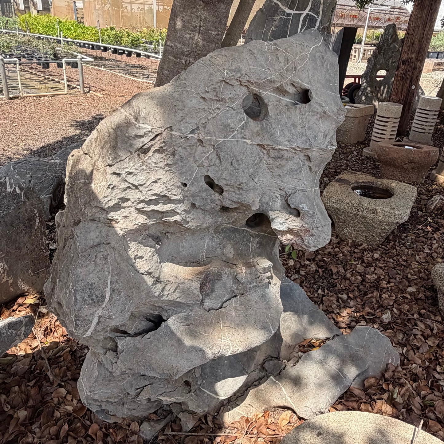Taihu Rocks