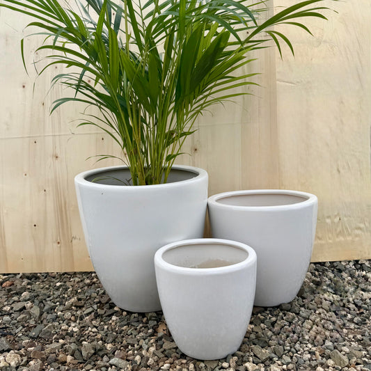 Tall White Tom Planter
