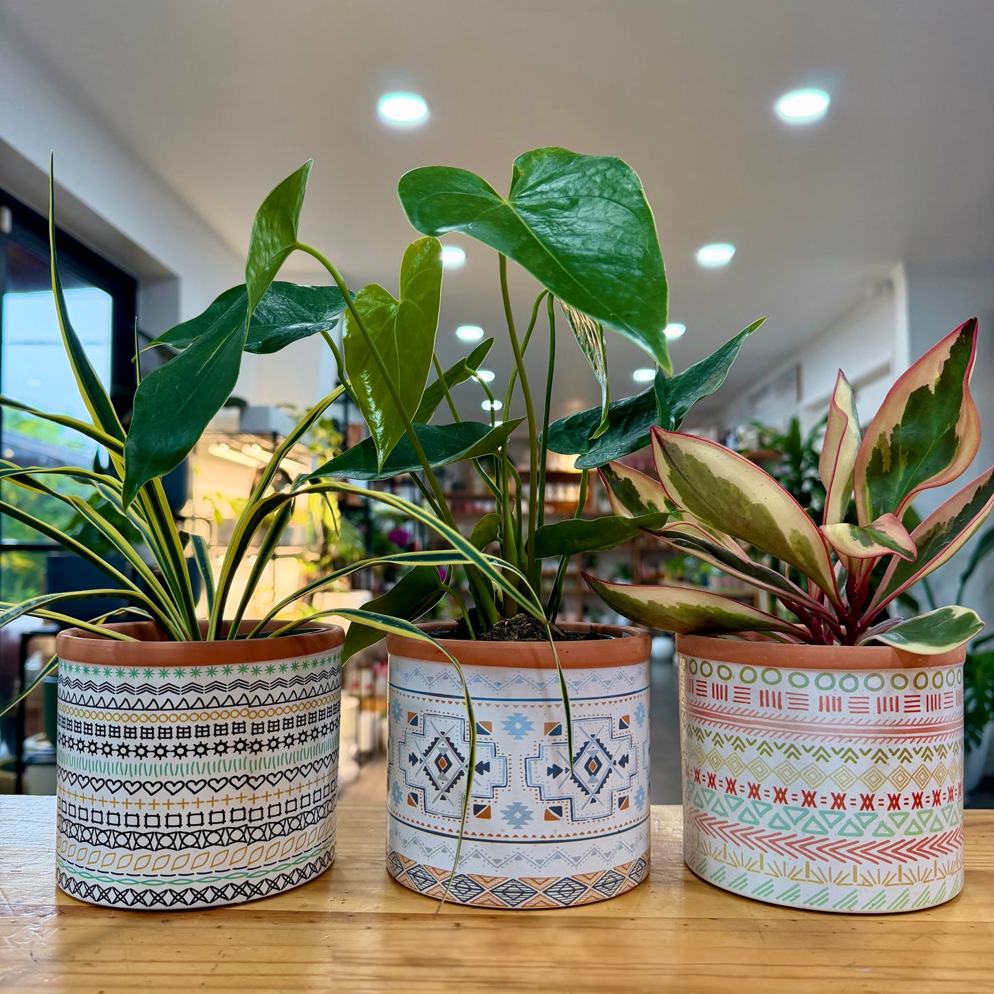 Thebes Terracotta Planters