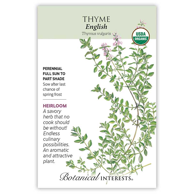Thyme seeds 'English'