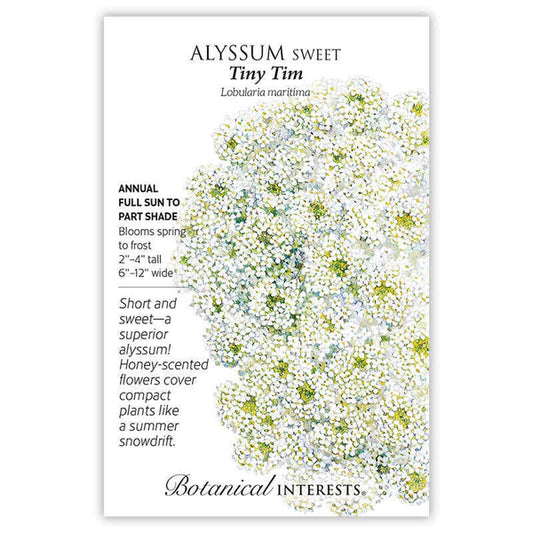 Alyssum seeds, "Sweet Tiny Tim"