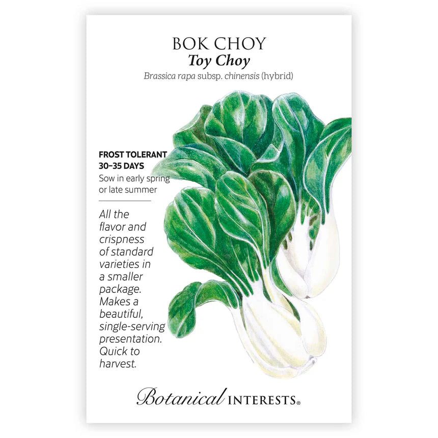 Bok Choy Toy Choy