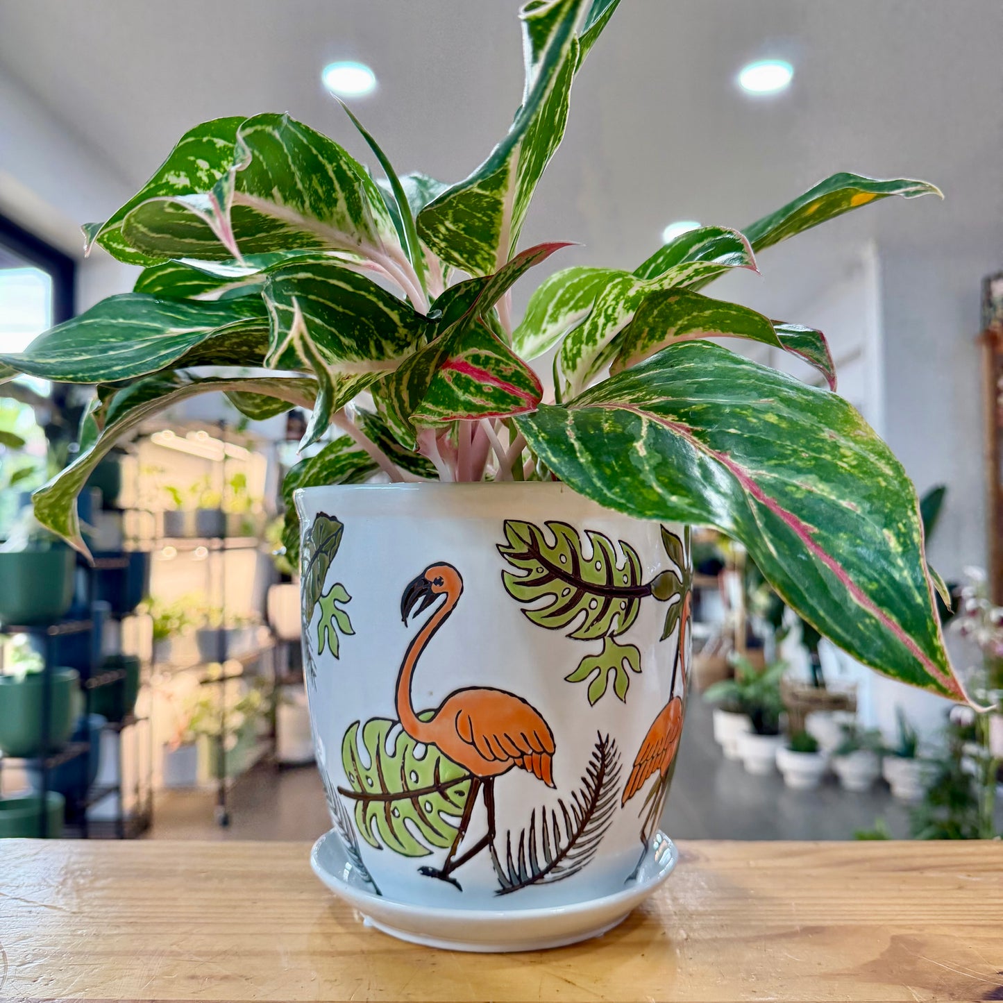 Tropical Inlay Planter
