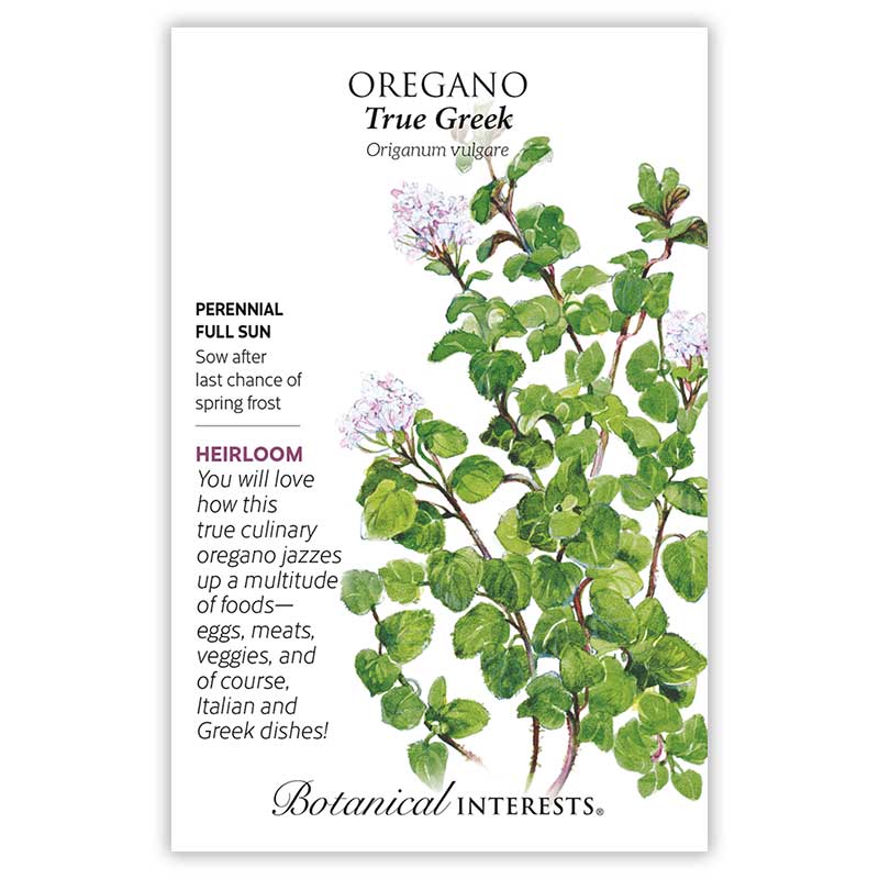 Oregano seeds 'True Greek'