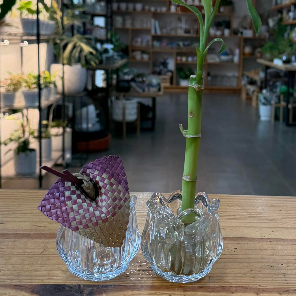 Small Glass Tulip Vase