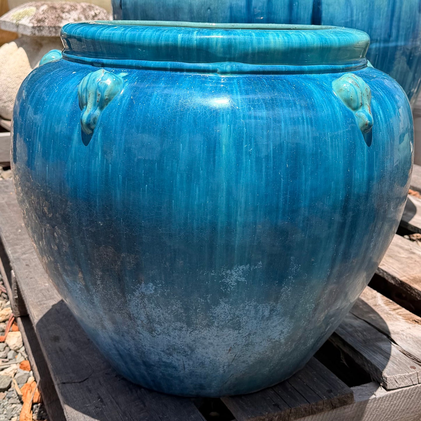 Under the Sea Planter