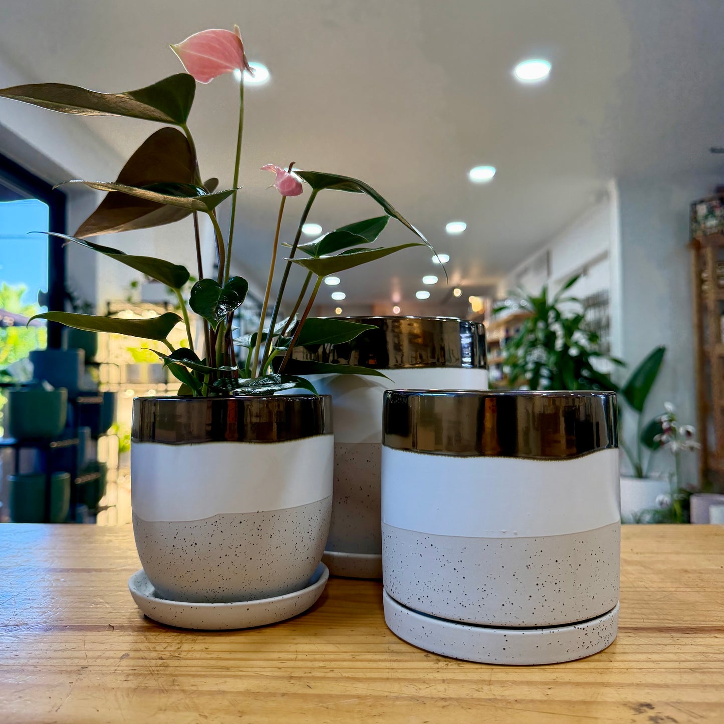 Valko Planters