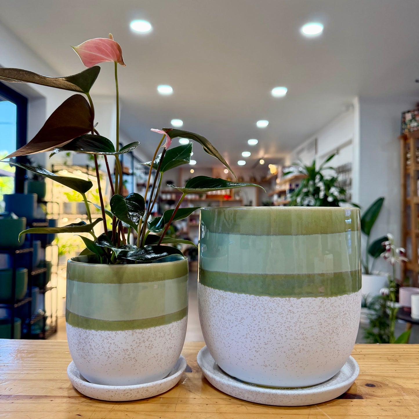 Valko Planters
