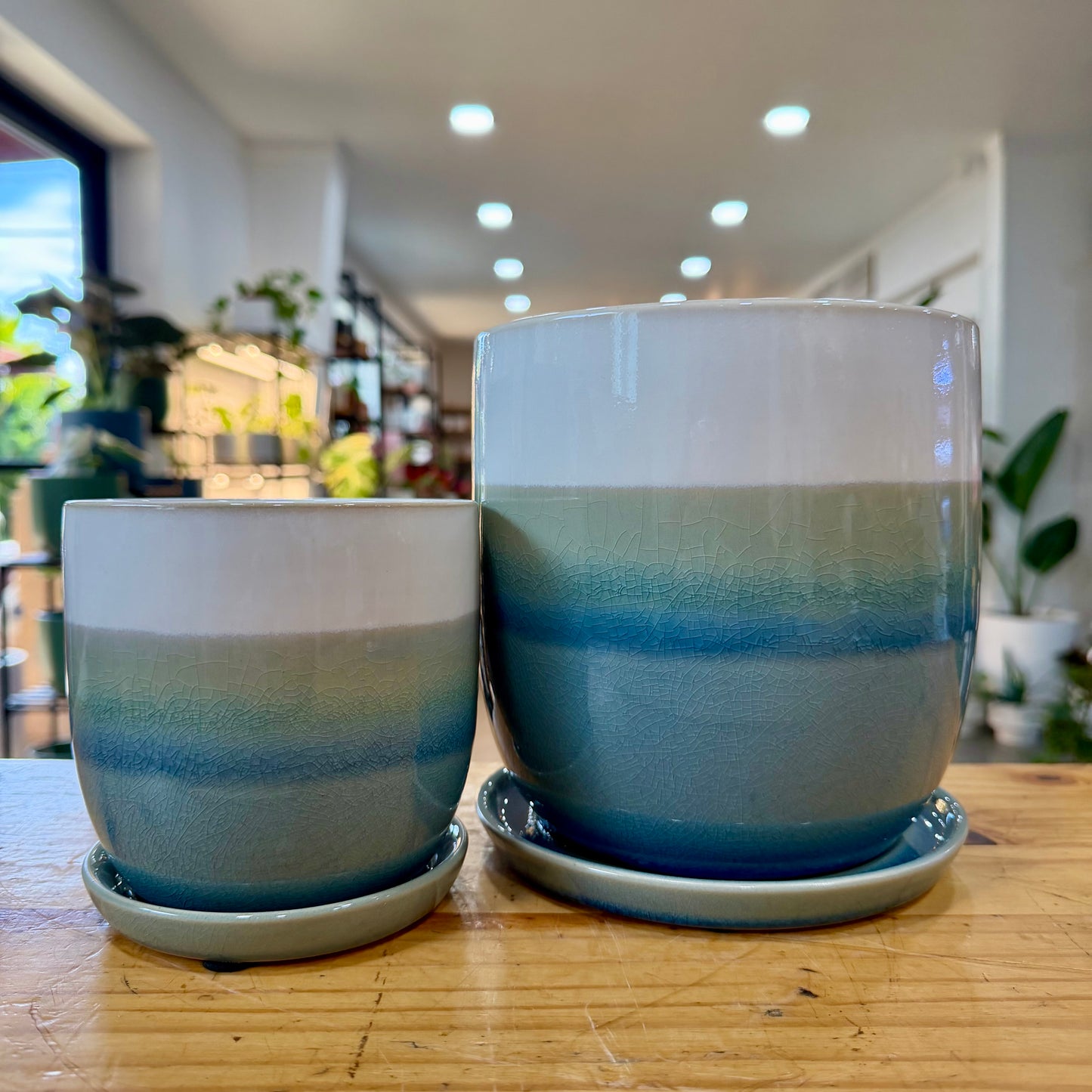 Valko Planters