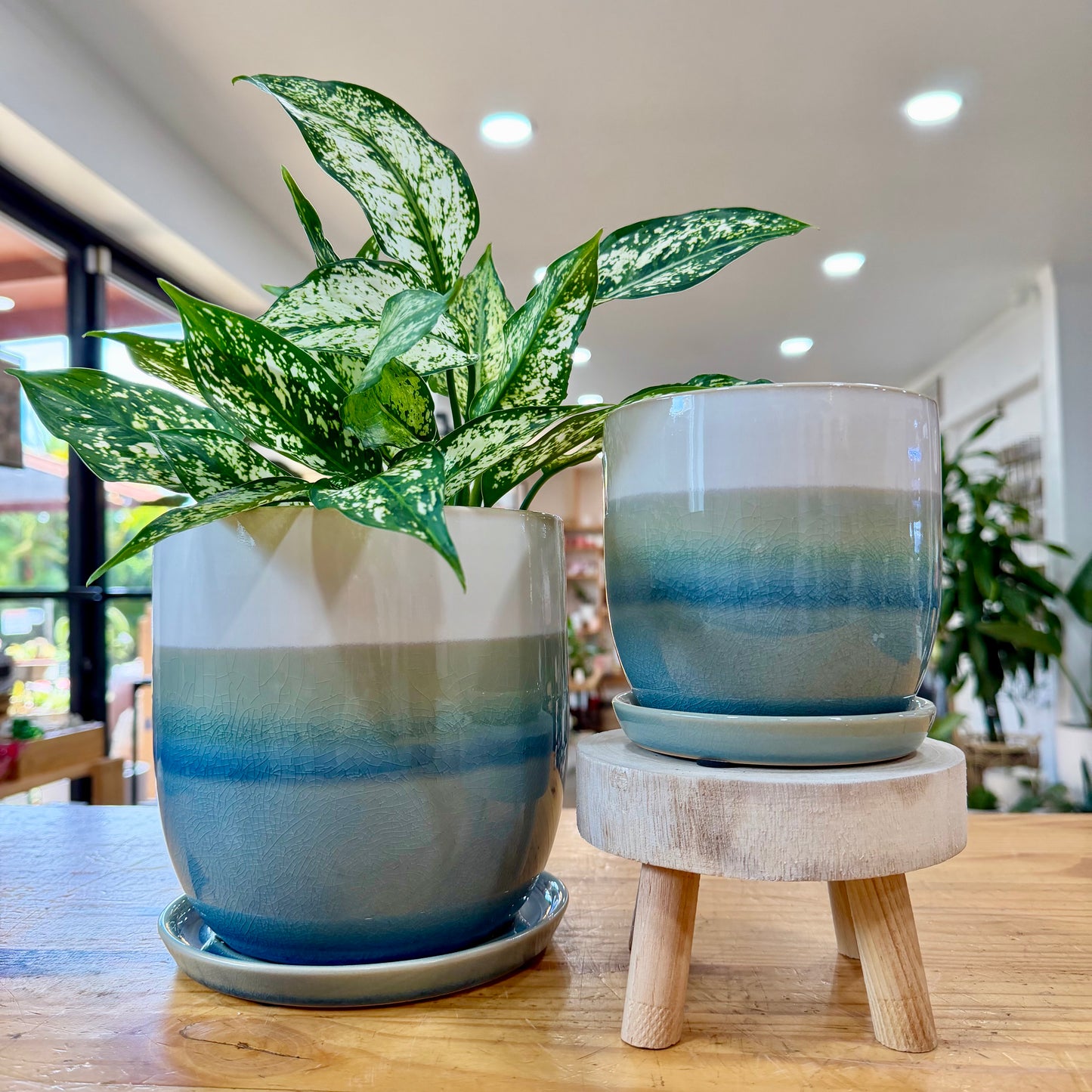 Valko Planters