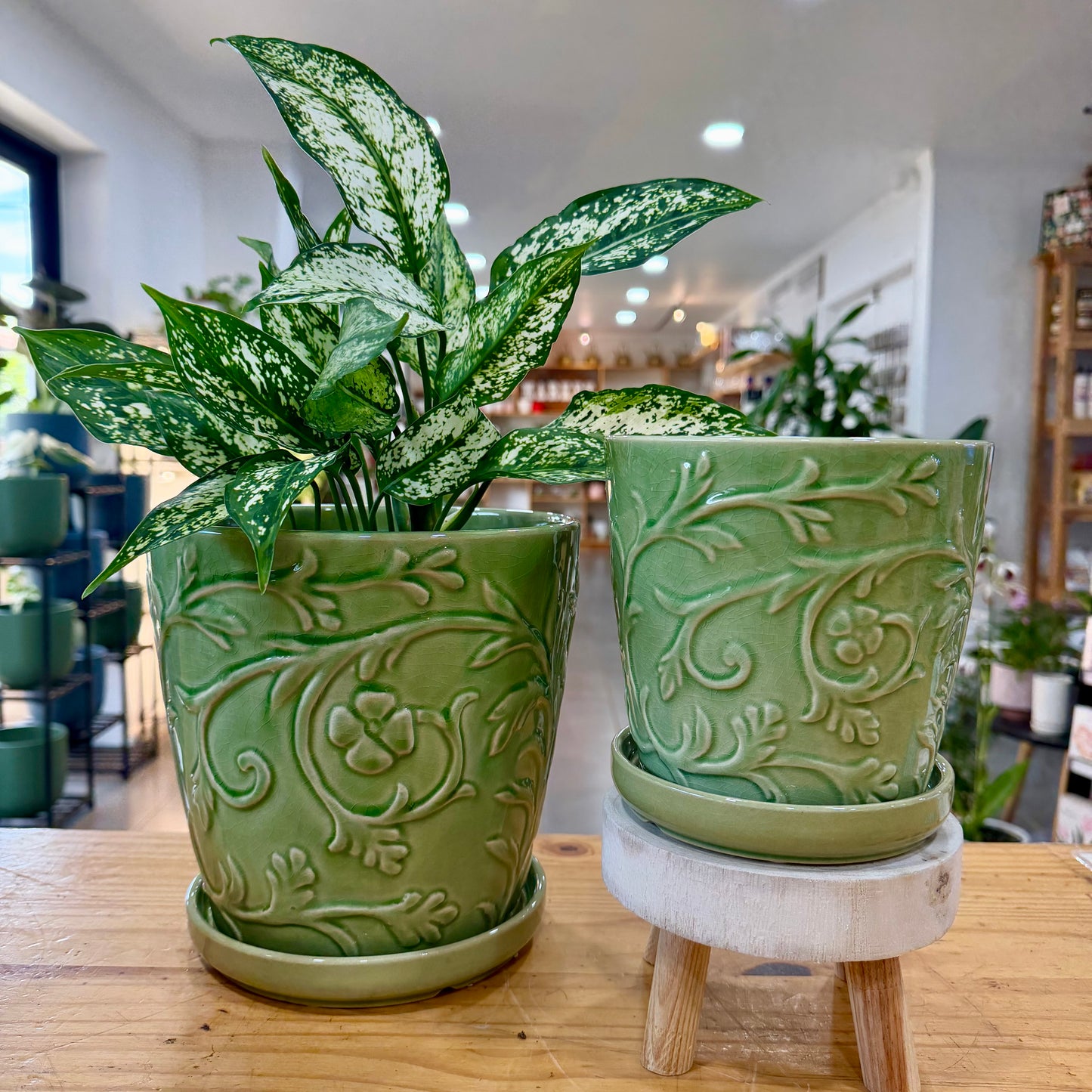 Vine Planter