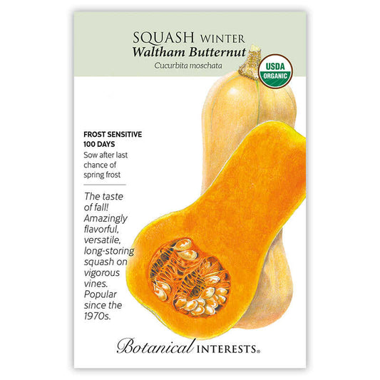 Squash Winter seeds 'Waltham Butternut'