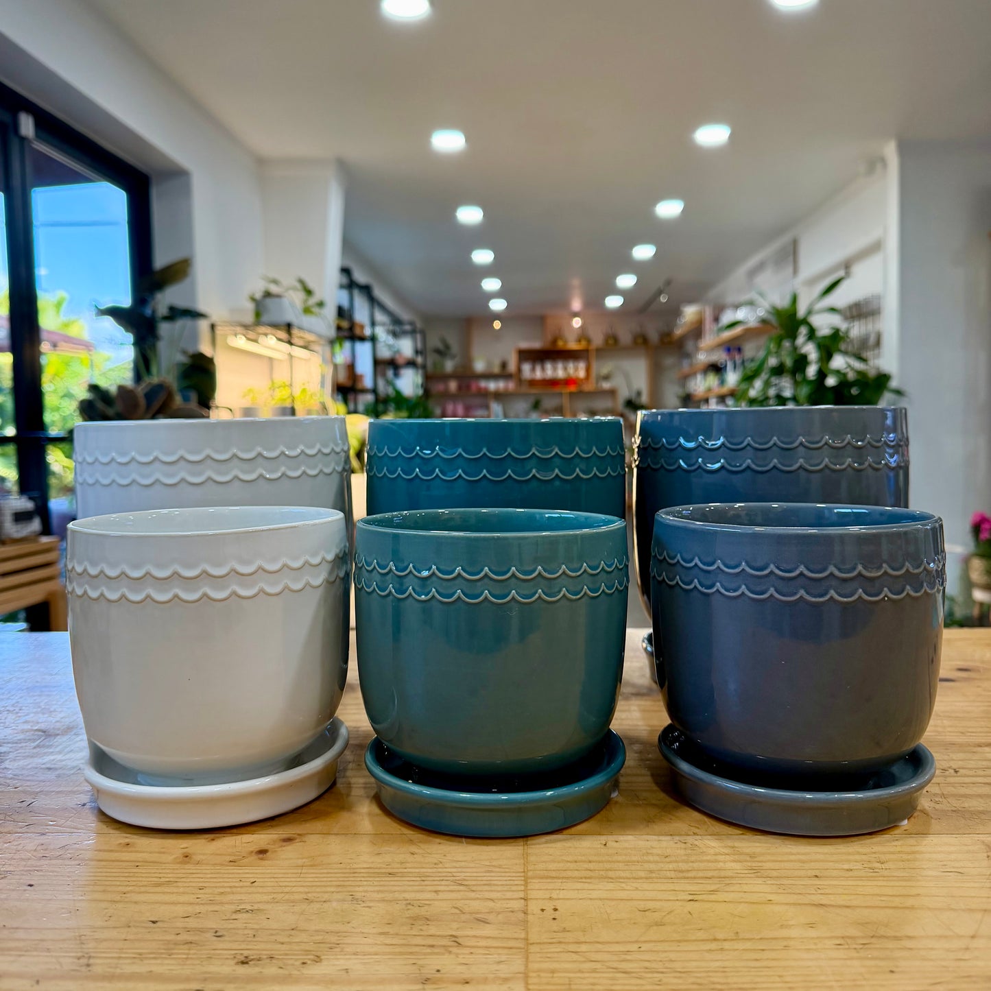 Wavelet Planter
