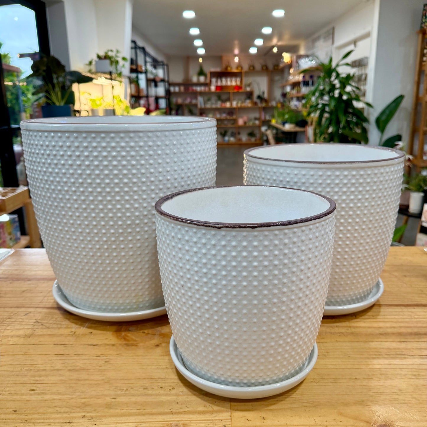 Sinatra Ceramic Planter