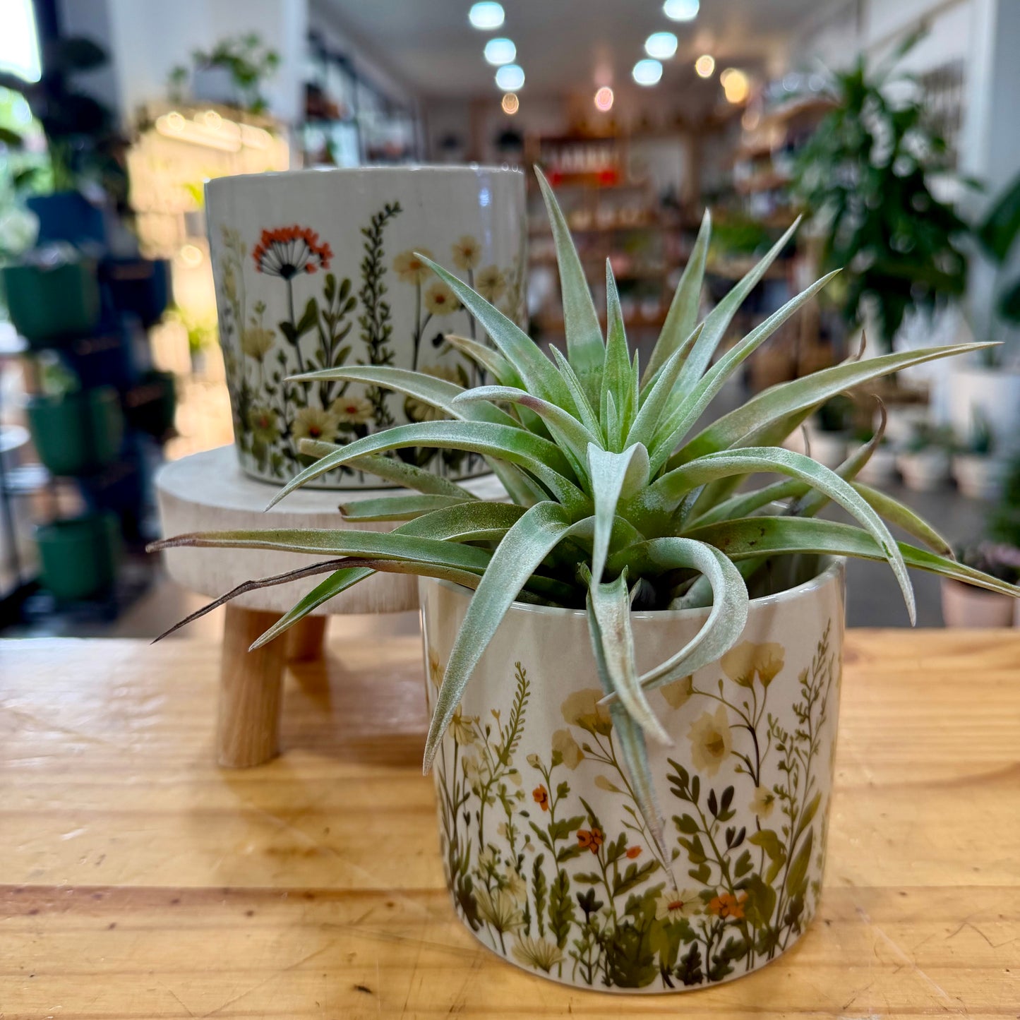 4" Wildflower Cylinder Planter