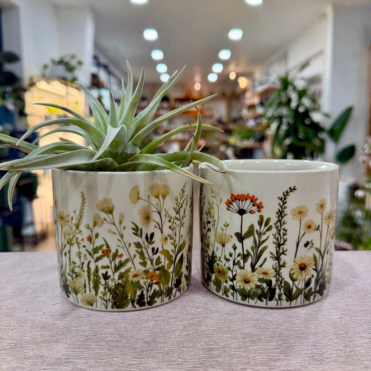 4" Wildflower Cylinder Planter