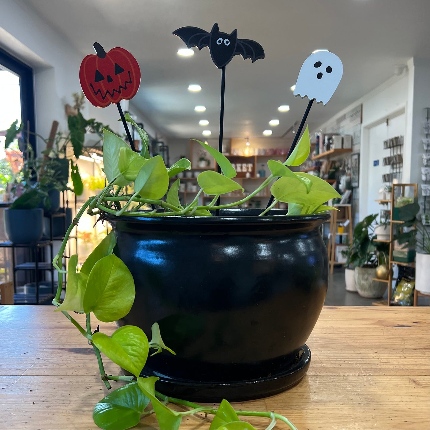 Halloween Picks and Stakes