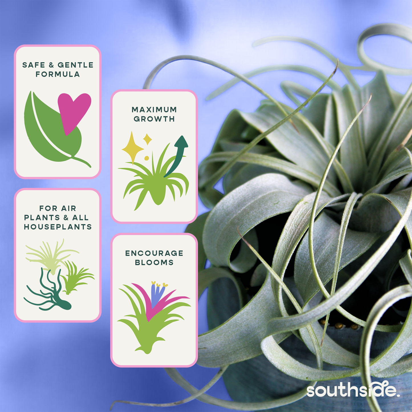 Air Plant Fertilizer - Spray and Soak