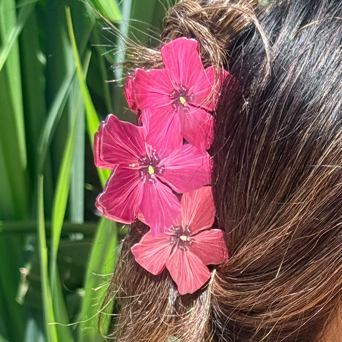 Painted Hau Triple Hair Claw