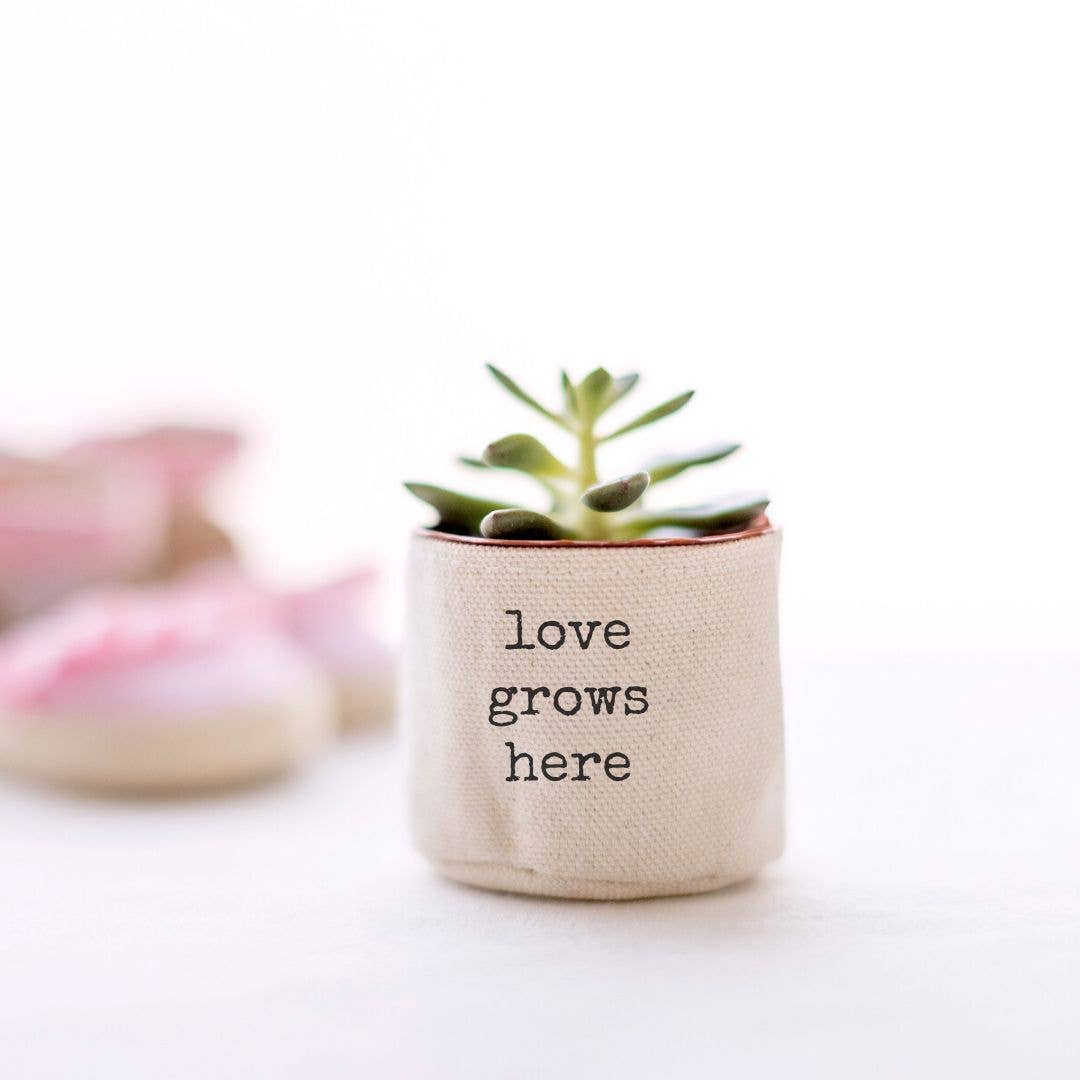 Love grows here 2" Canvas Plant Pot Cover