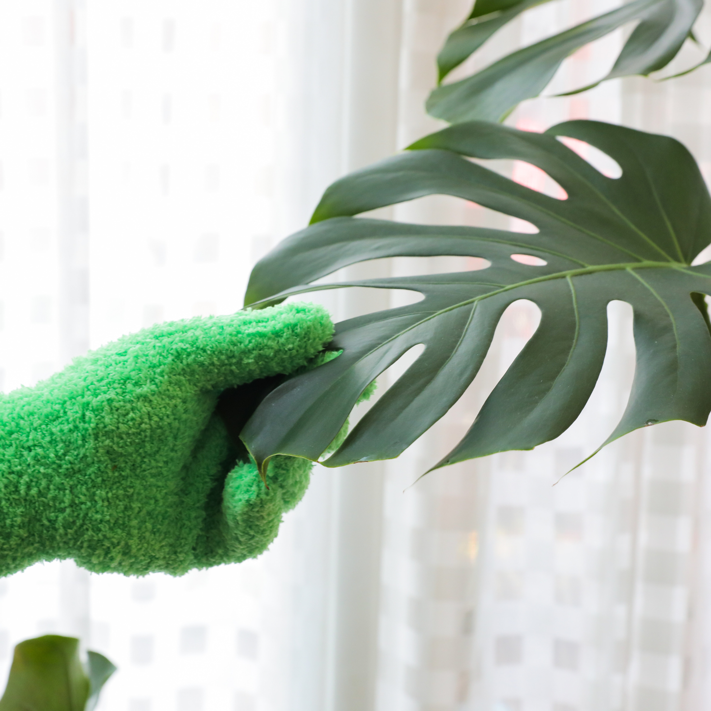 Microfiber Gloves – Reusable Leaf-Shining Gloves for Plant