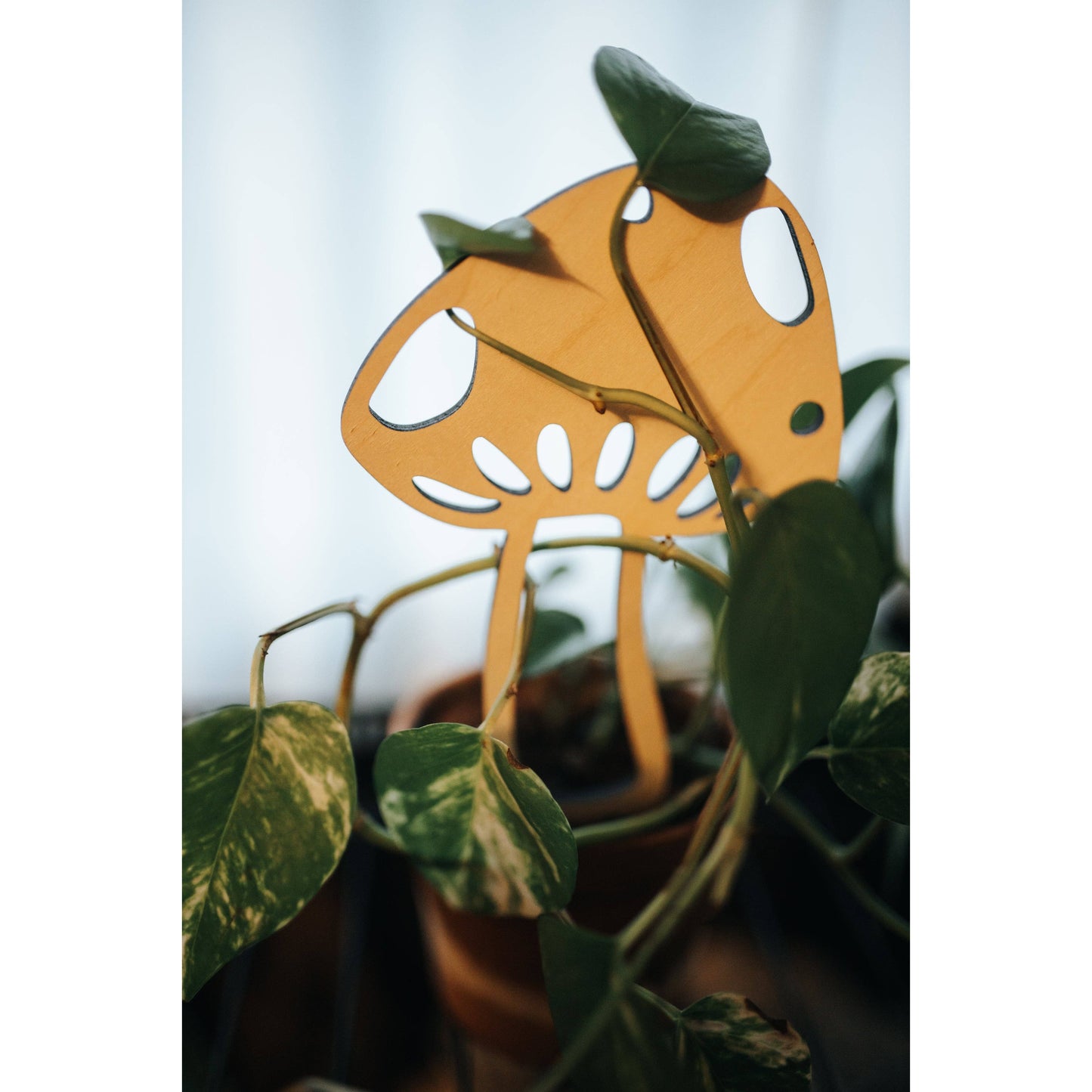 Mushroom Plant Trellis