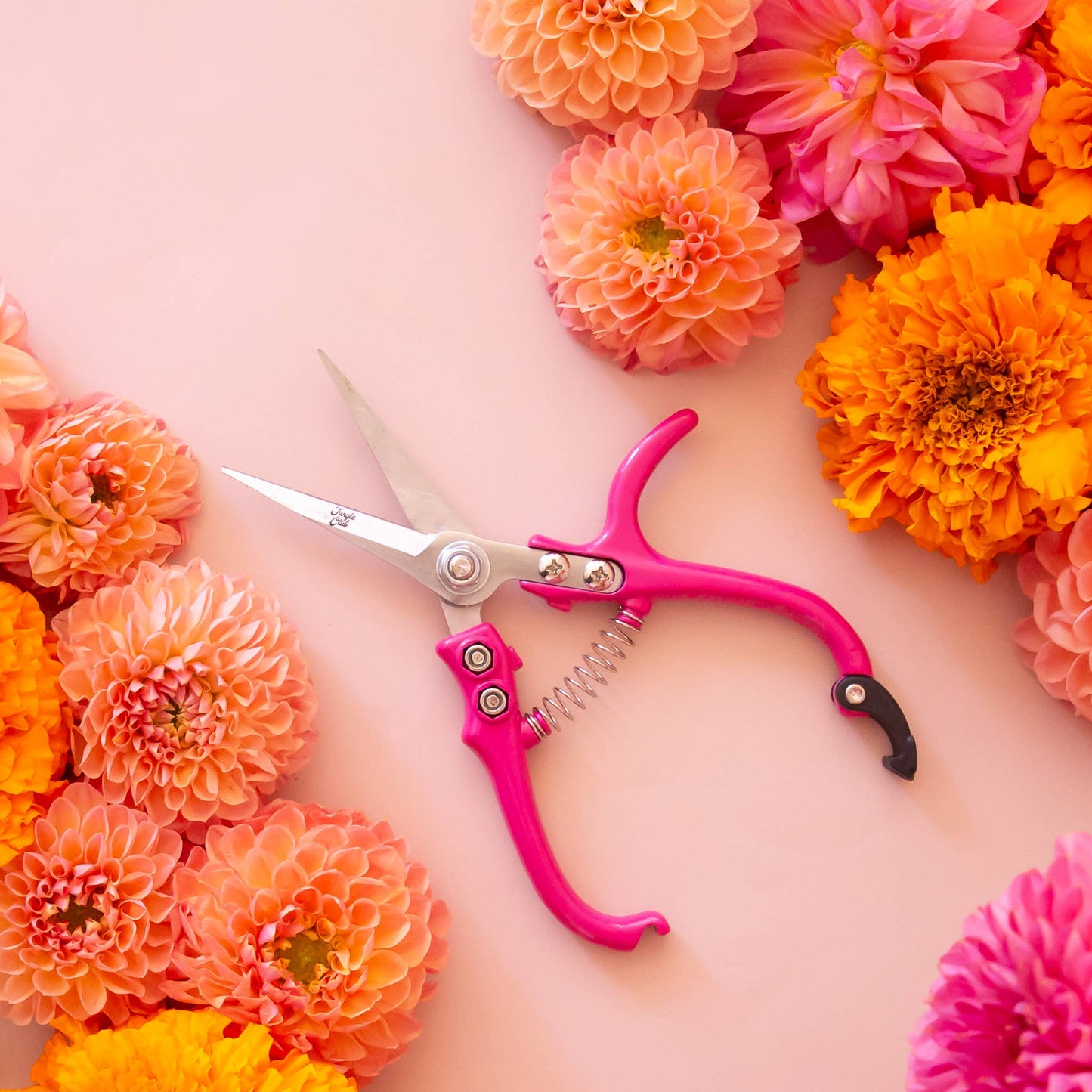 Pruning Shears