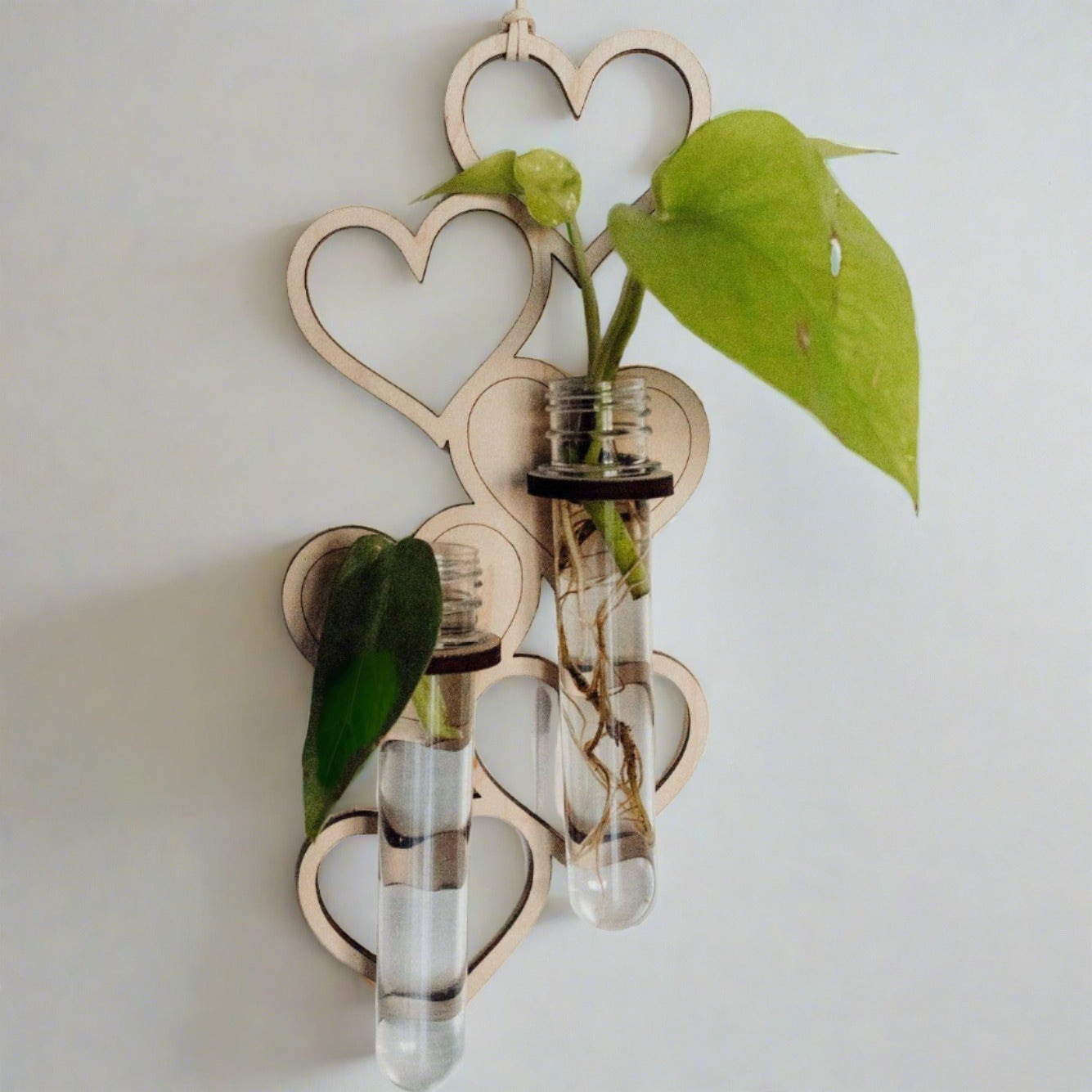 2 Tube Heart Hanging Propagation Station – Mari's Gardens