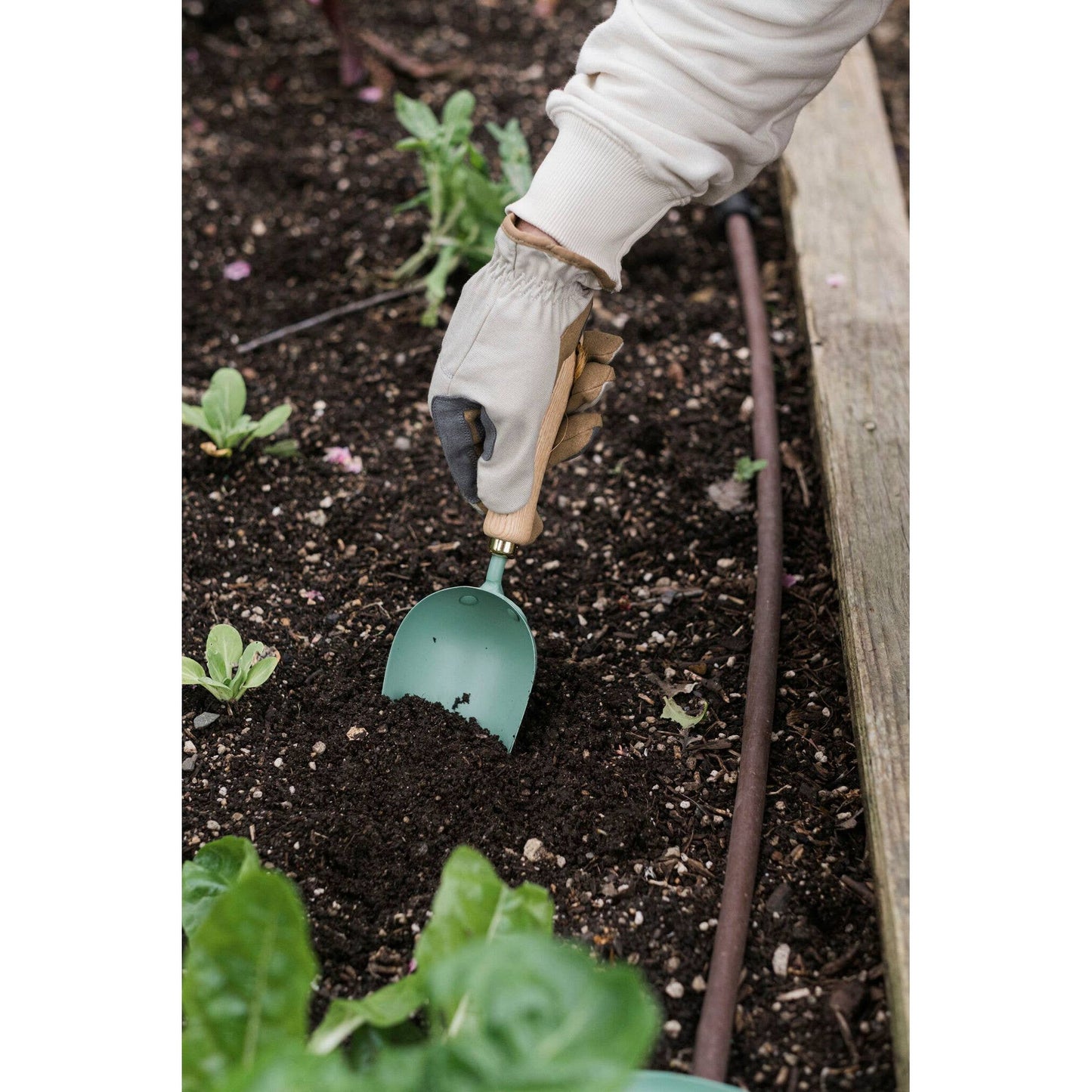 Garden Scoop