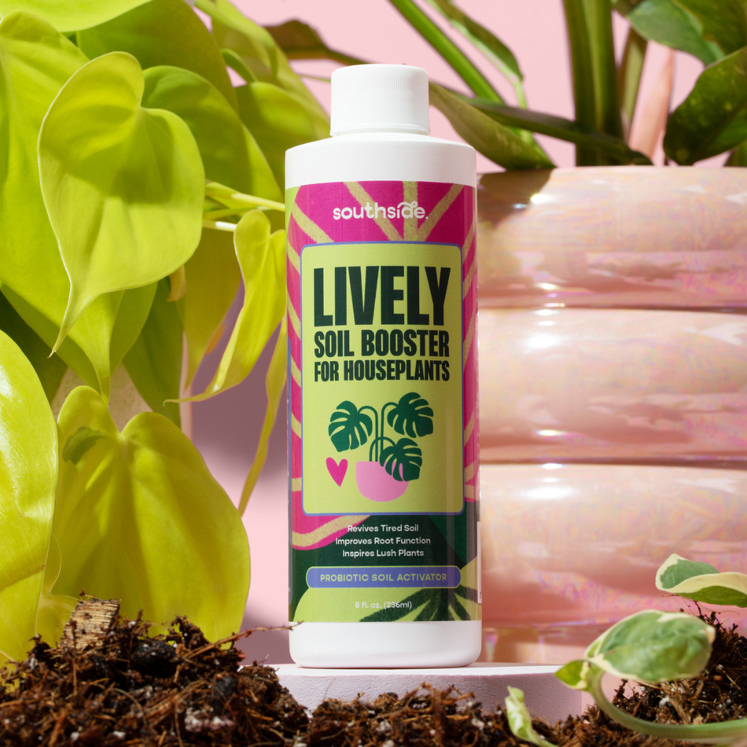 Lively Soil Booster for Houseplants