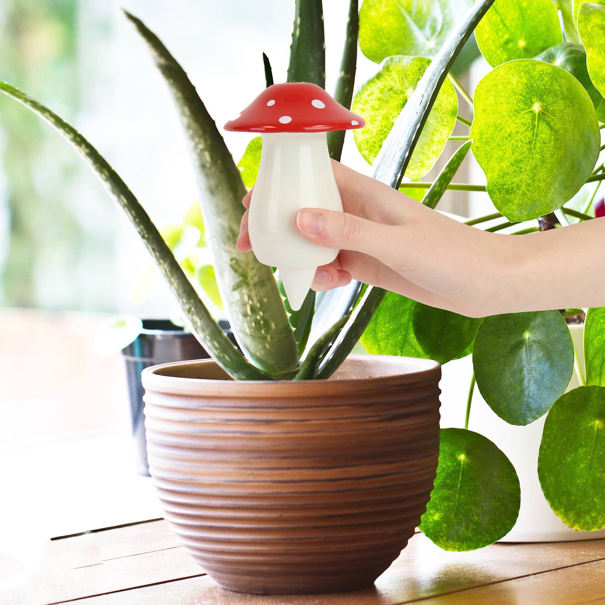 self waterer for plants Self Watering