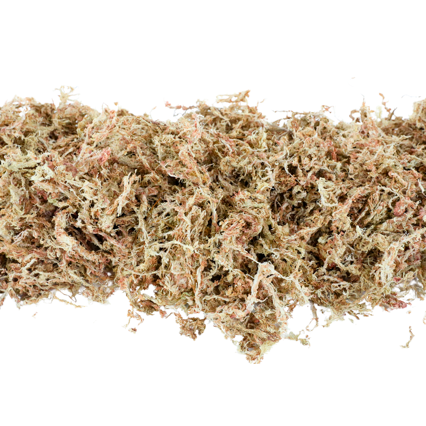 Premium Long Fiber Sphagnum Moss