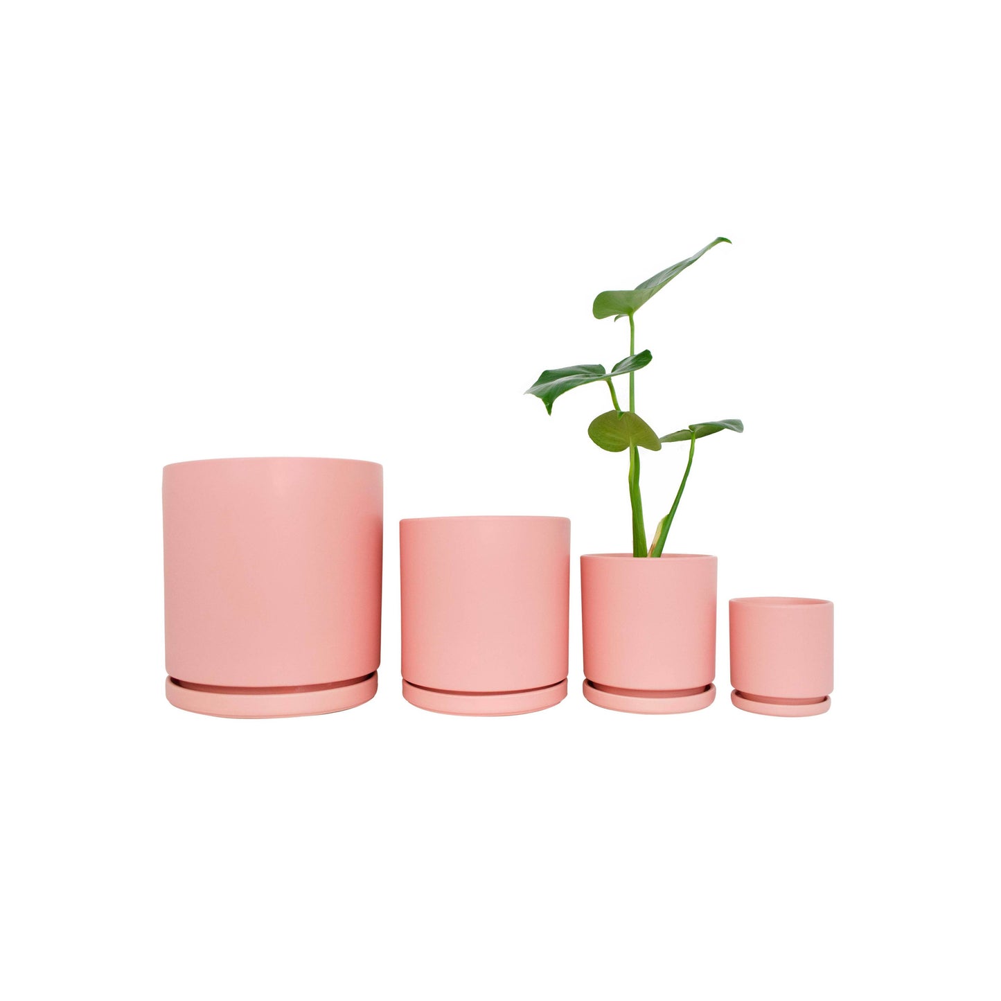 4.5" Gemstone Cylinder Pots with Water Saucers