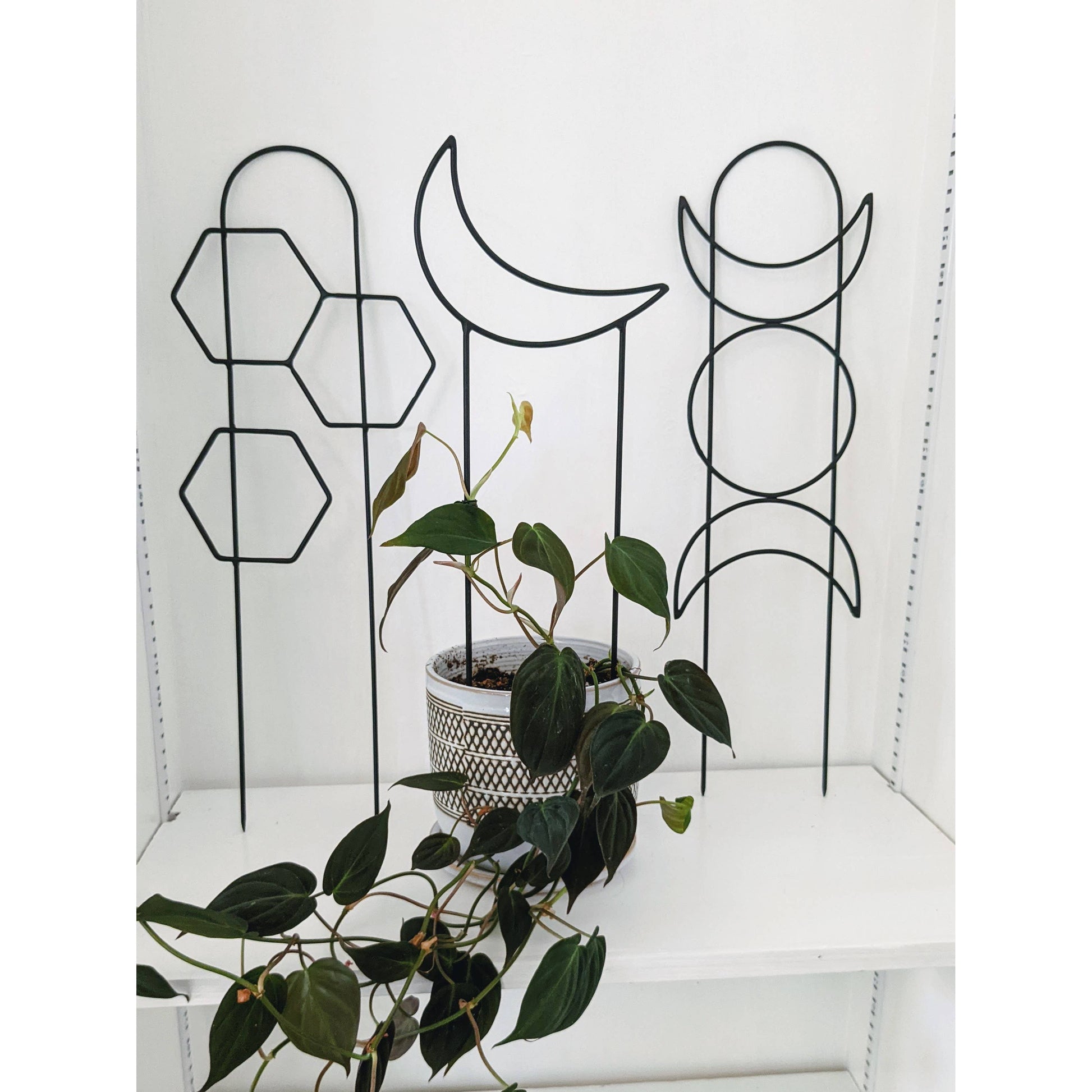 metal indoor plant trellis Metal Crescent Moon Trellis – Mari's Gardens