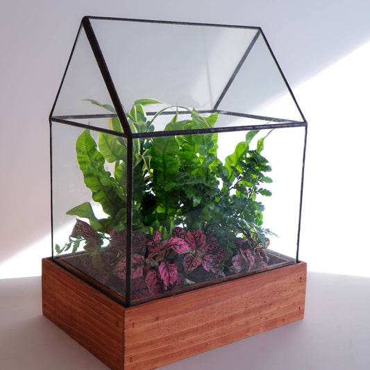 The Arber Handmade Stained Glass Terrarium