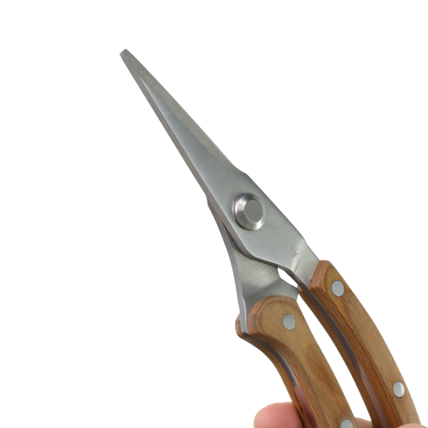 Slim Garden Utility Shears – Precision Stainless Steel Blade