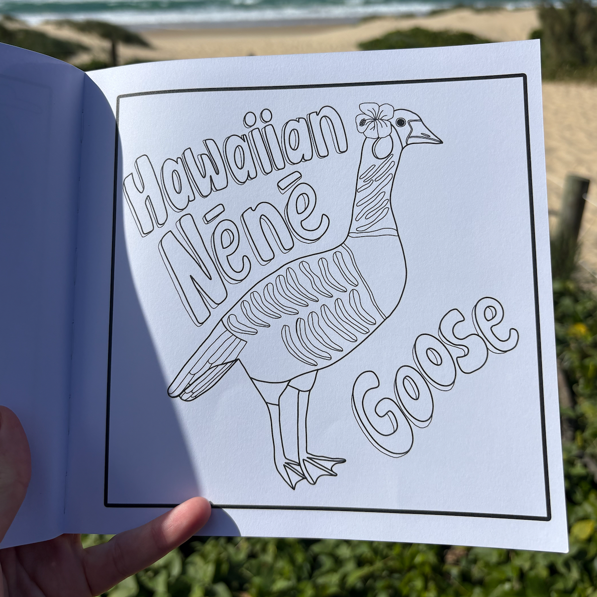 COLOR HAWAI'I Coloring Book