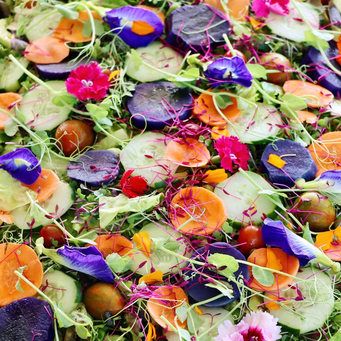 Thanksgiving Salad Platter