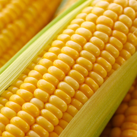 Kahuku Farms Corn