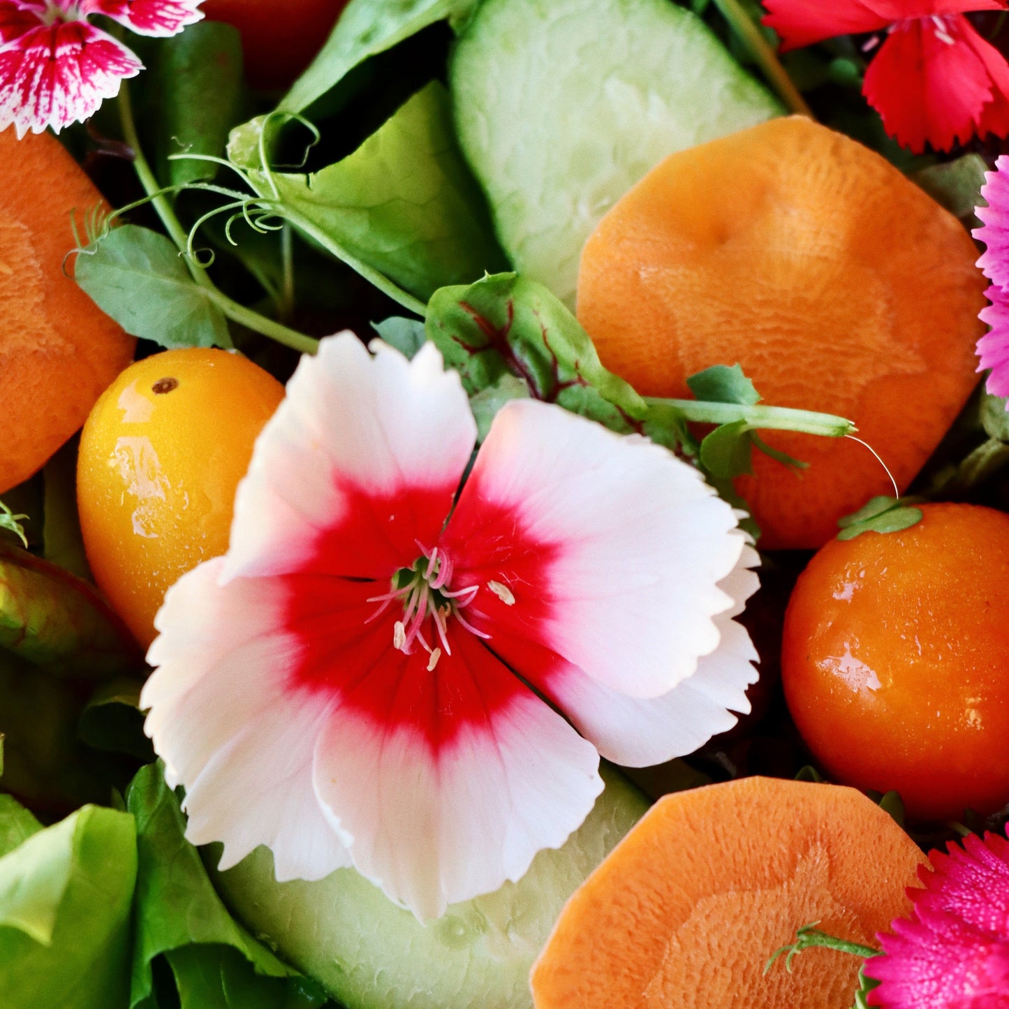 Mari's Gardens Salad Platter