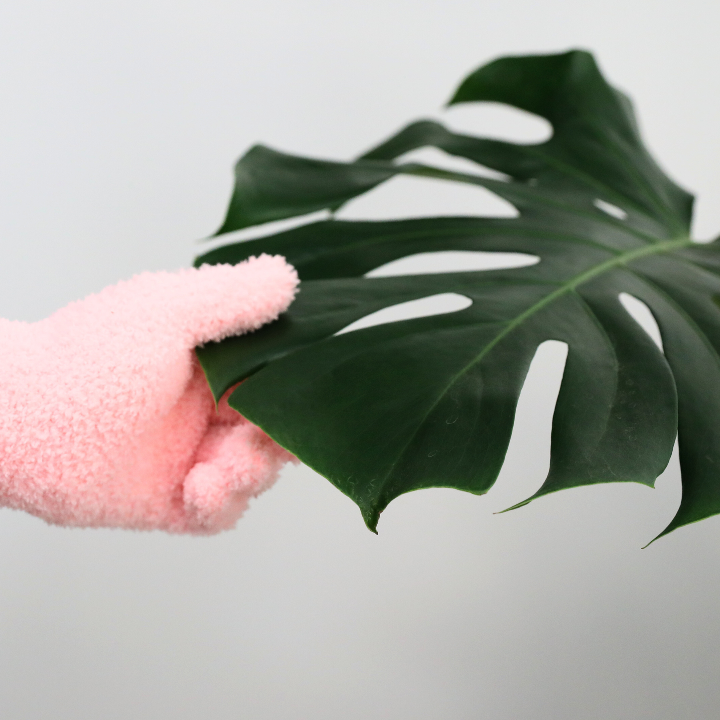 Microfiber Gloves – Reusable Leaf-Shining Gloves for Plant