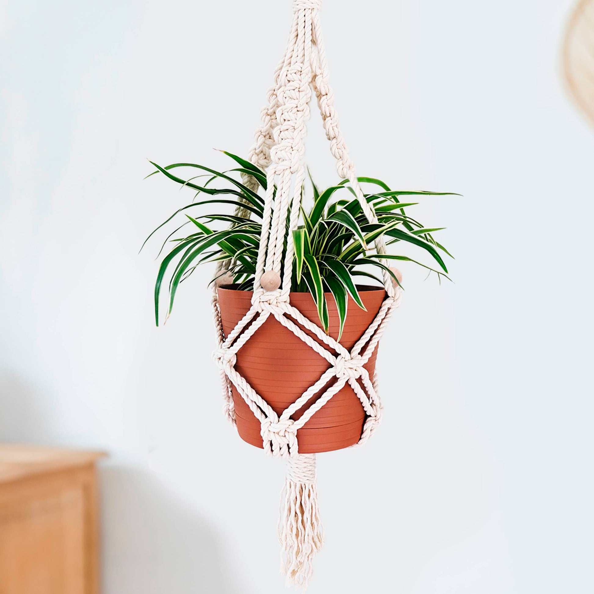 lowe's hanging planter Gift Republic DIY Macrame Kit