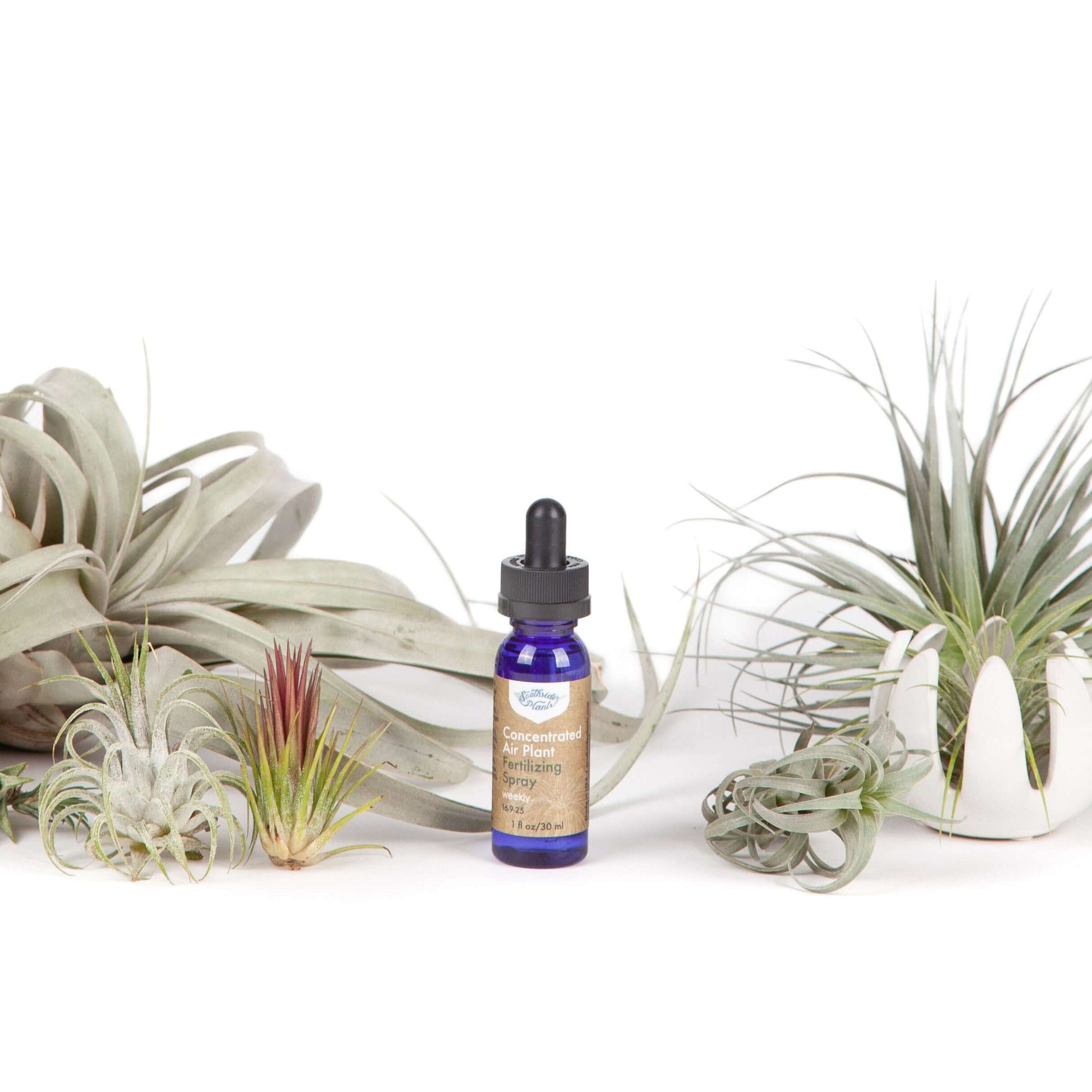 air plant sprayer Air Plant Weekly Fertilizing Spray Concentrate – Mari's Gardens