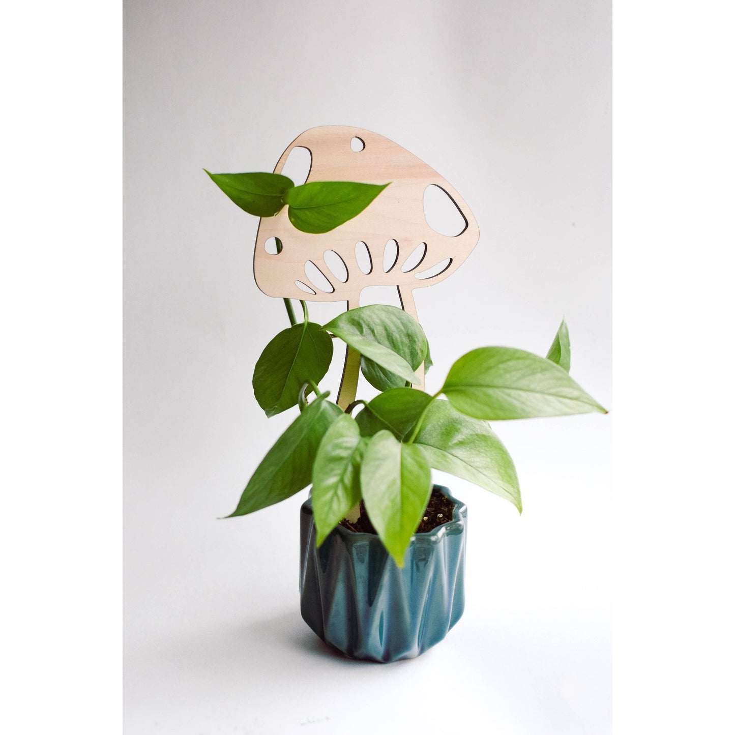 Mushroom Plant Trellis