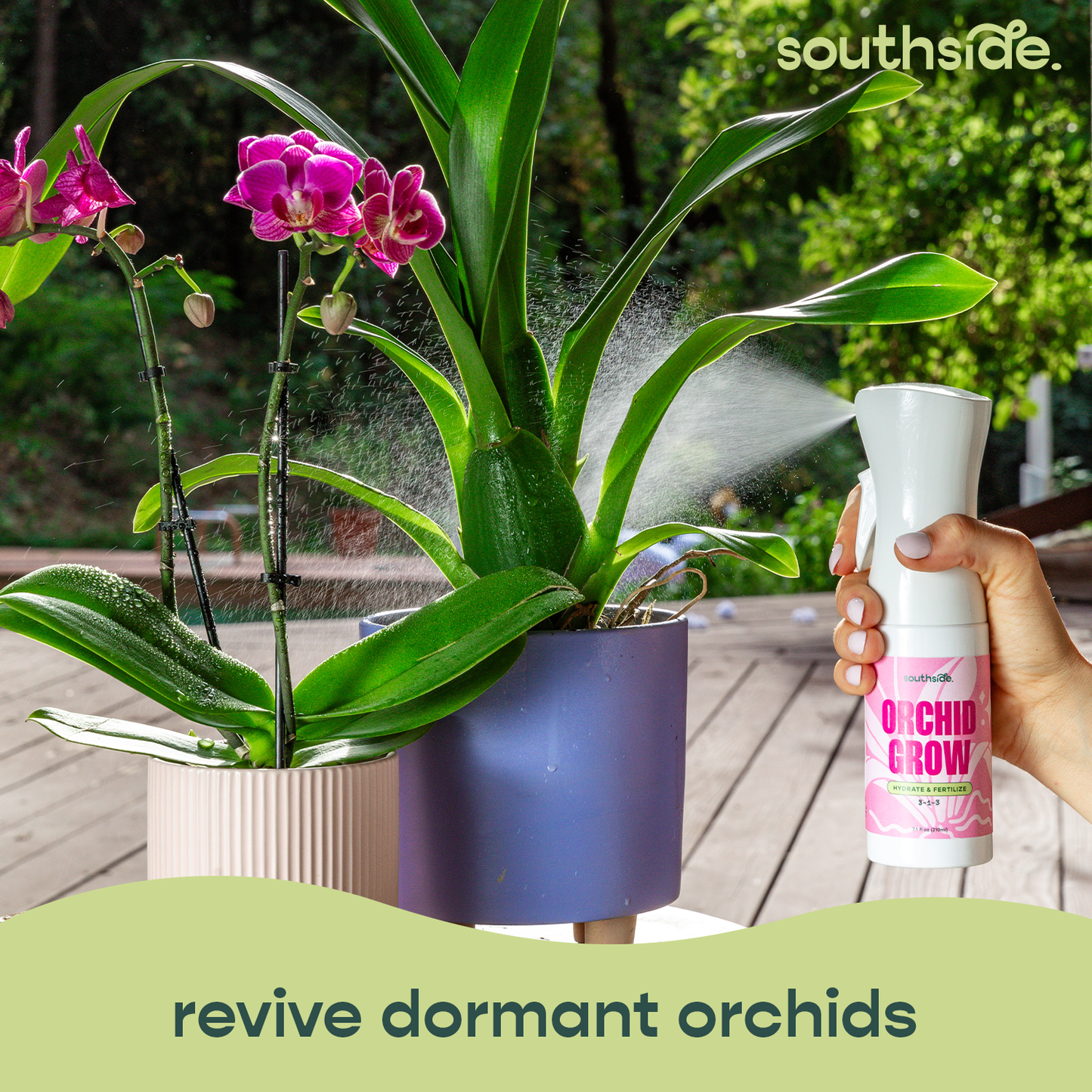 Orchid Grow and Bloom Sprays