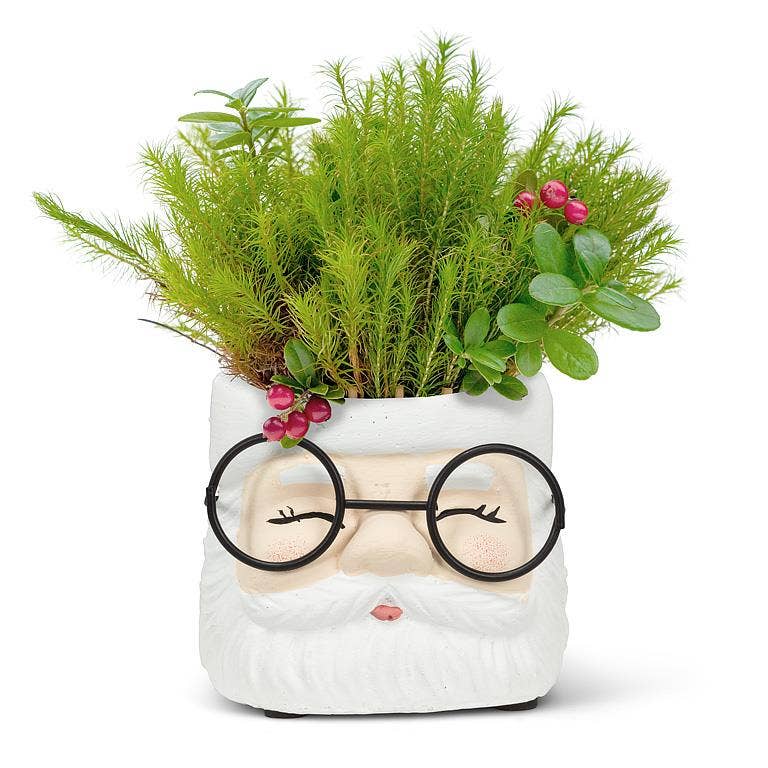 Santa Planter with Glasses